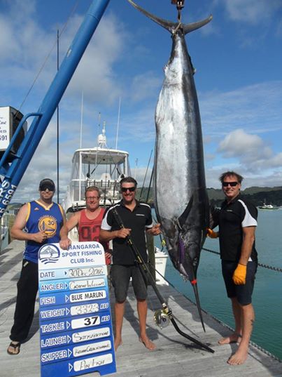 Blue Marlin 332-3kg